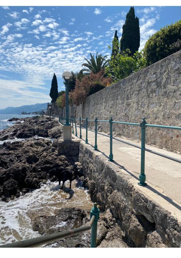 Secret Hideaway In The Volosko Old Town Opatija Dış mekan fotoğraf